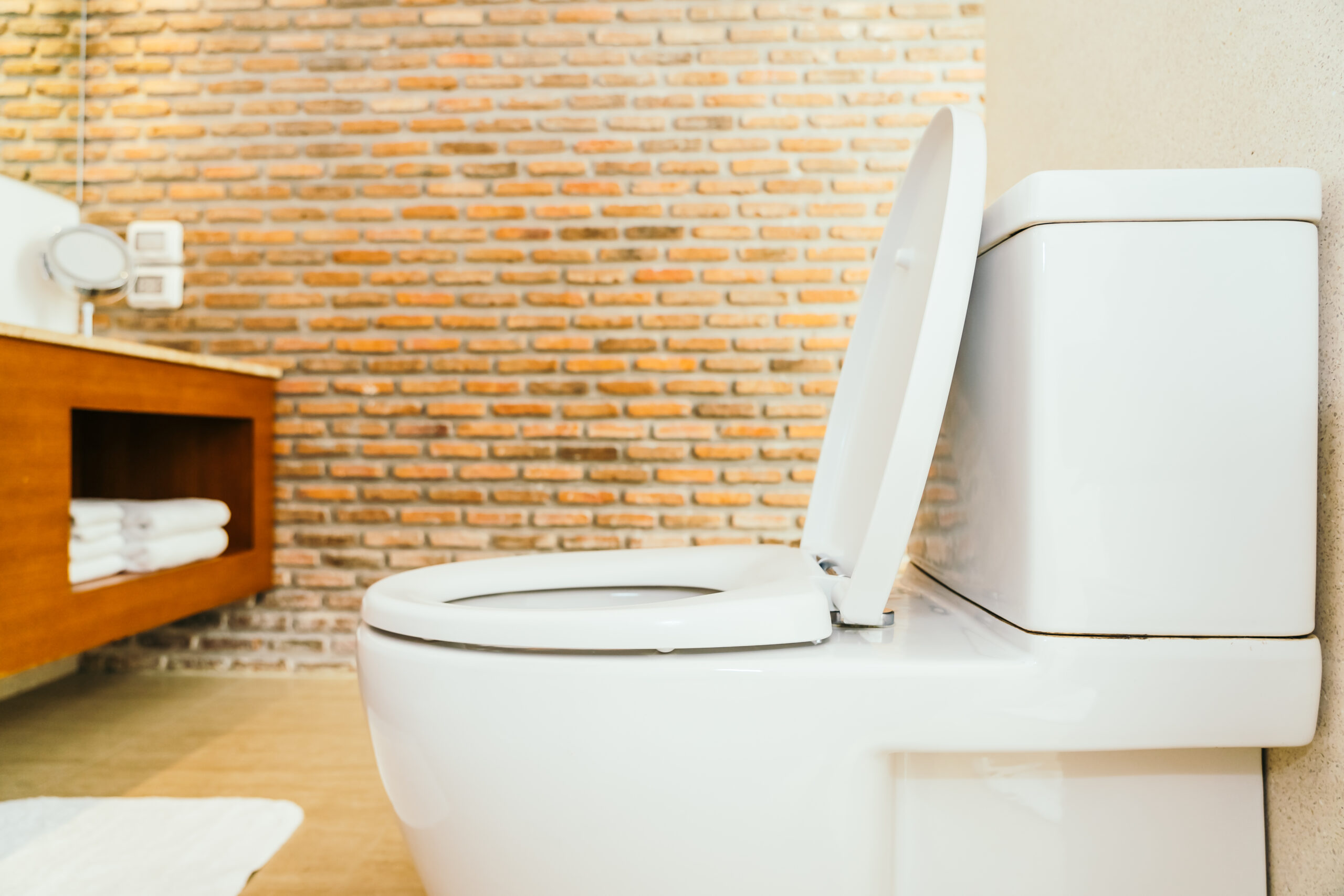 WC Ontstoppen